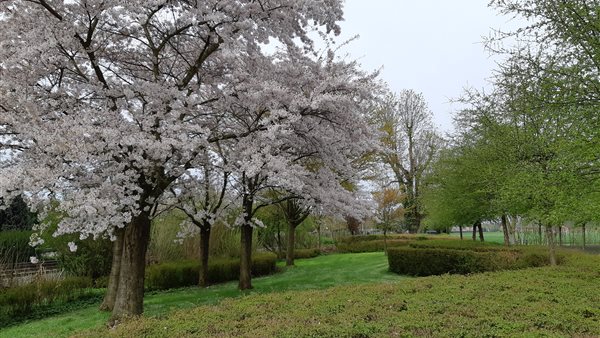 Bloesem2daagse Wandeltocht