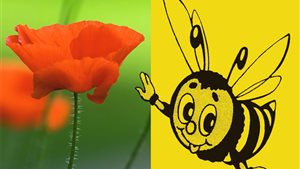 Markt van Melk en Honing