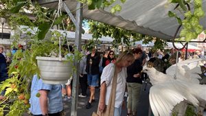 Brocante markt Venlo