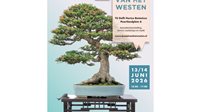 Bonsai van het Westen 2026