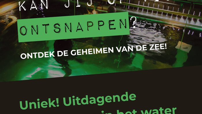 Escapepool in Harmelen, Utrecht