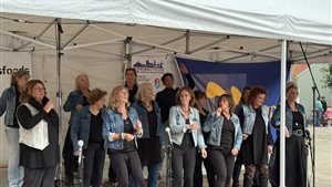 Puur Wijks Muziekfestival