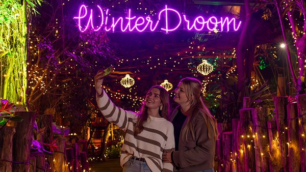 Magische WinterDroom