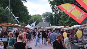 Braderie met vlomarkt in Odoorn