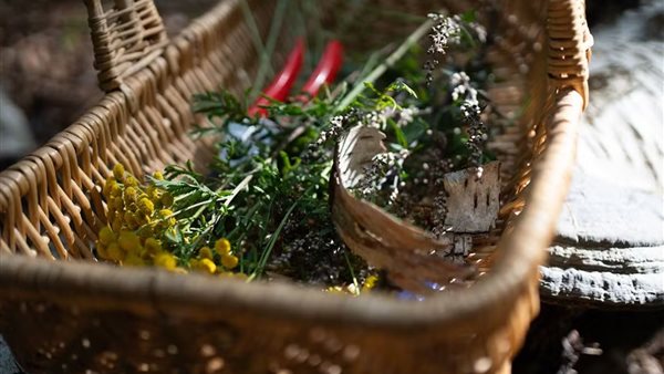 Workshop 'Ontspanningskit' in Kasteel Rosendael