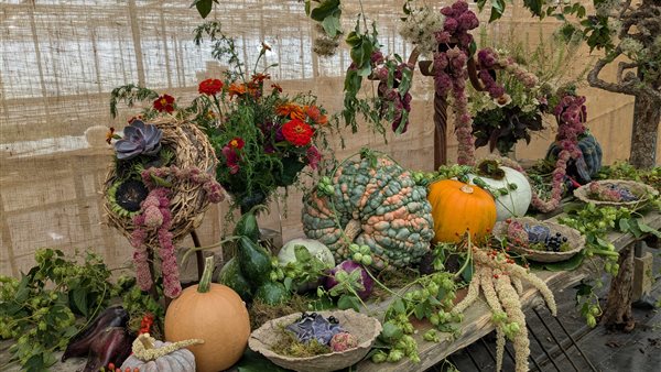 Herfstfair Kwekerij van der Velde