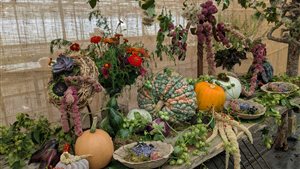 Herfstfair Kwekerij van der Velde