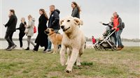 The Big Walk