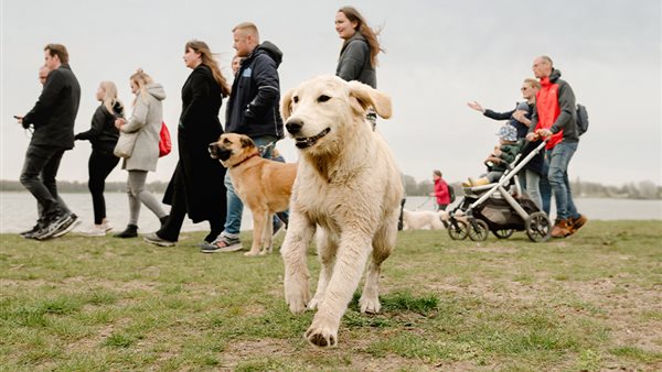 The Big Walk