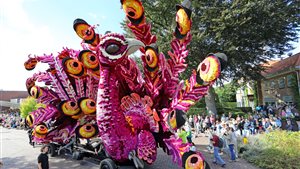 Bloemencorso Lichtenvoorde