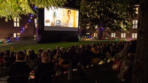 Movies at H'ART Museum