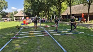 Dag van het paard Orvelte