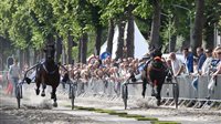 Kortebaandraverij Hoofddorp