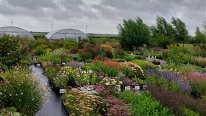 Open weekend 'De Mooiste Tuinen van N-Holland-Nrd