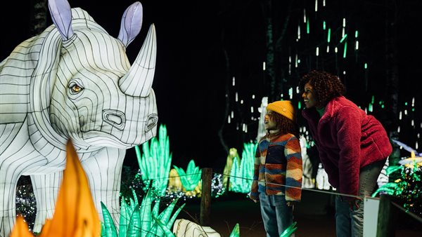 Light Safari in cijfers