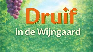 Druif in de Wijngaard