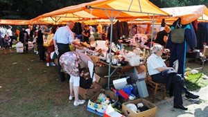 Vlooienmarkt Scouting Panta Rhei