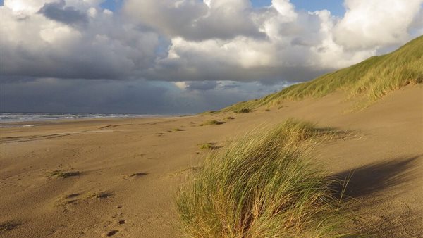 Duinstreek Kamermuziek Festival