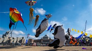 Vliegerfestival Scheveningen