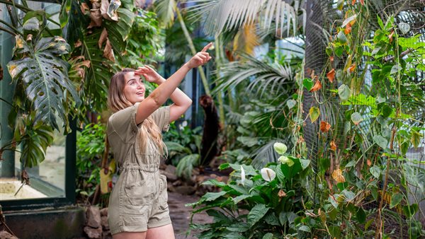Ga op Zomer Dagkamp in de dierentuin met Sterrin