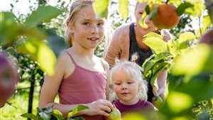 Fruitigste Hardfruitdagen