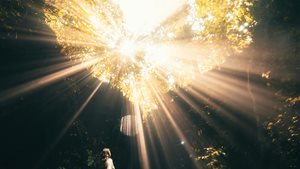 Cursusdag - In contact met je innerlijke Wijsheid