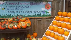 Pompoenmarkt