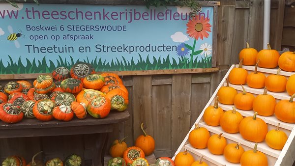 Pompoenmarkt