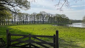 Vilsteren Bruist Landgoedwandeltocht