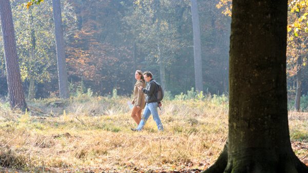 Wild Wijn en Wandelen