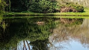 Plenair in Frisland with Anna Katrulina