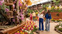 Stap dit pinksterweekend in een lentedroom