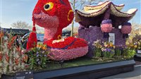 Bloemencorso Bollenstreek