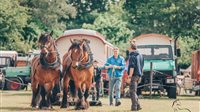 Paard & Erfgoed