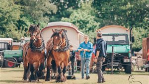 Paard & Erfgoed