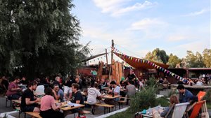 Wild Festival Groningen