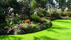 Nazomeren in de tuinen van Buurvrouw en Buurvrouw