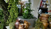Brocante Herfstfair Orvelte