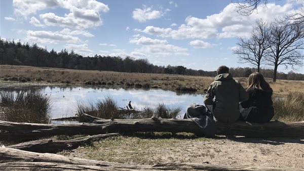 Veluwe: Kleurrijke loofbossen en uitgestrekte heidevelden