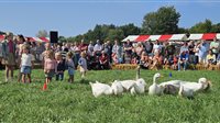 Boer'ndag Elspeet
