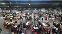 Vlooienmarkt Eelde Flowerdome