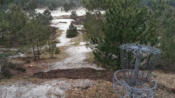 Disc Golf in de Schoorlse Duinen