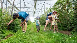 De fruitigste kleinfruitdagen 2026