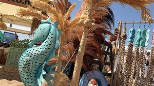 Ibiza Market - Tholen