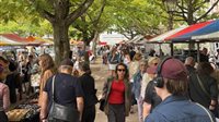Vintage-Curiosa-Antiekmarkt Amstelveld