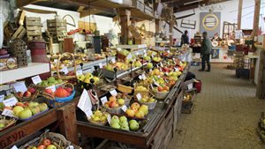 Fruitshow Verleden tot Heden