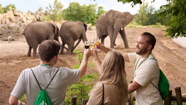 Volop leuke activiteiten