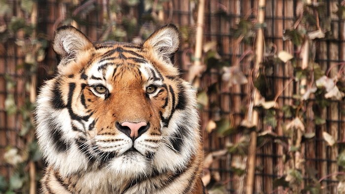 Dierenpark Hoenderdaell in Anna Paulowna, Noord-Holland