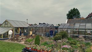 Open Dag Cactuskassen