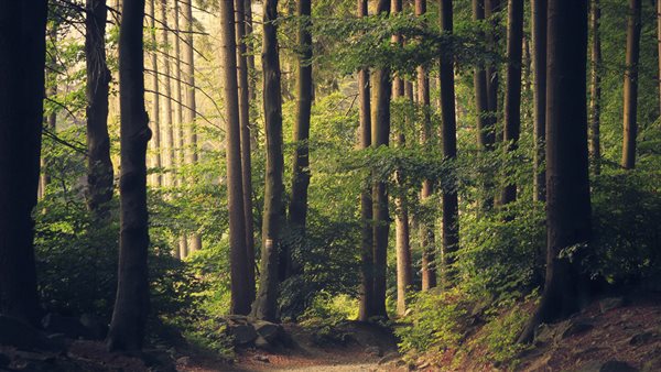 Buitenschool Curriculum van de natuur